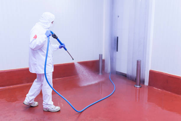 Best Driveway Pressure Washing  in The Village Of Indian Hill, OH